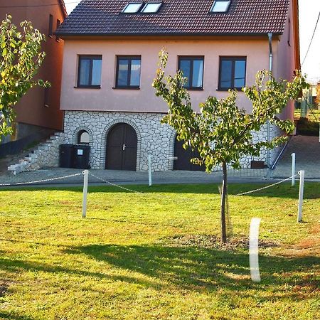 Apartman Nesyt سيدليك المظهر الخارجي الصورة