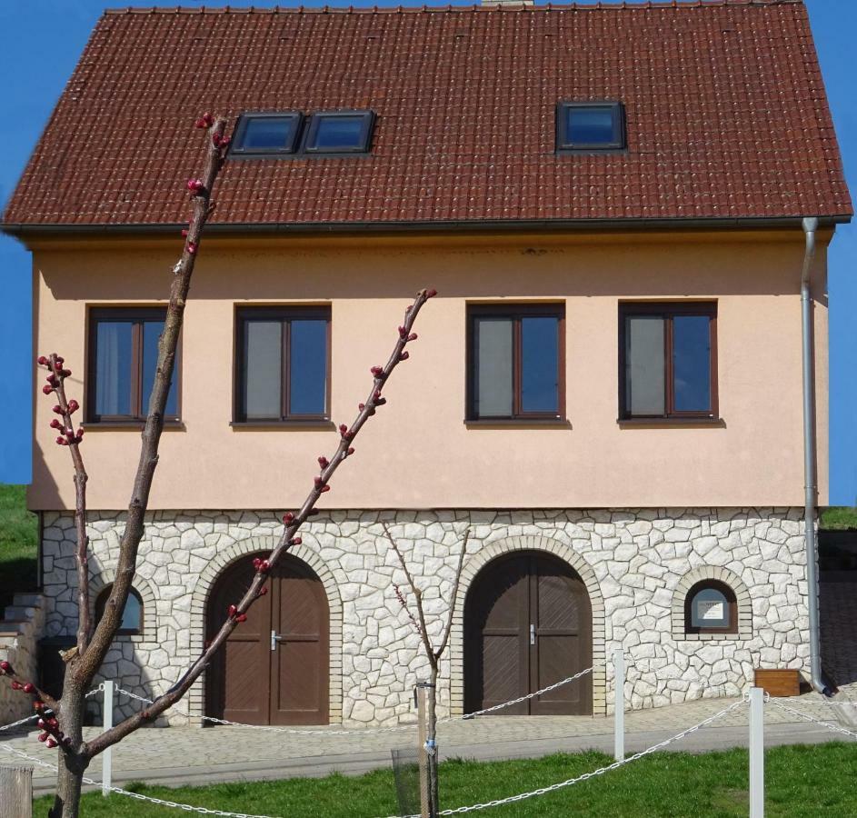 Apartman Nesyt سيدليك المظهر الخارجي الصورة
